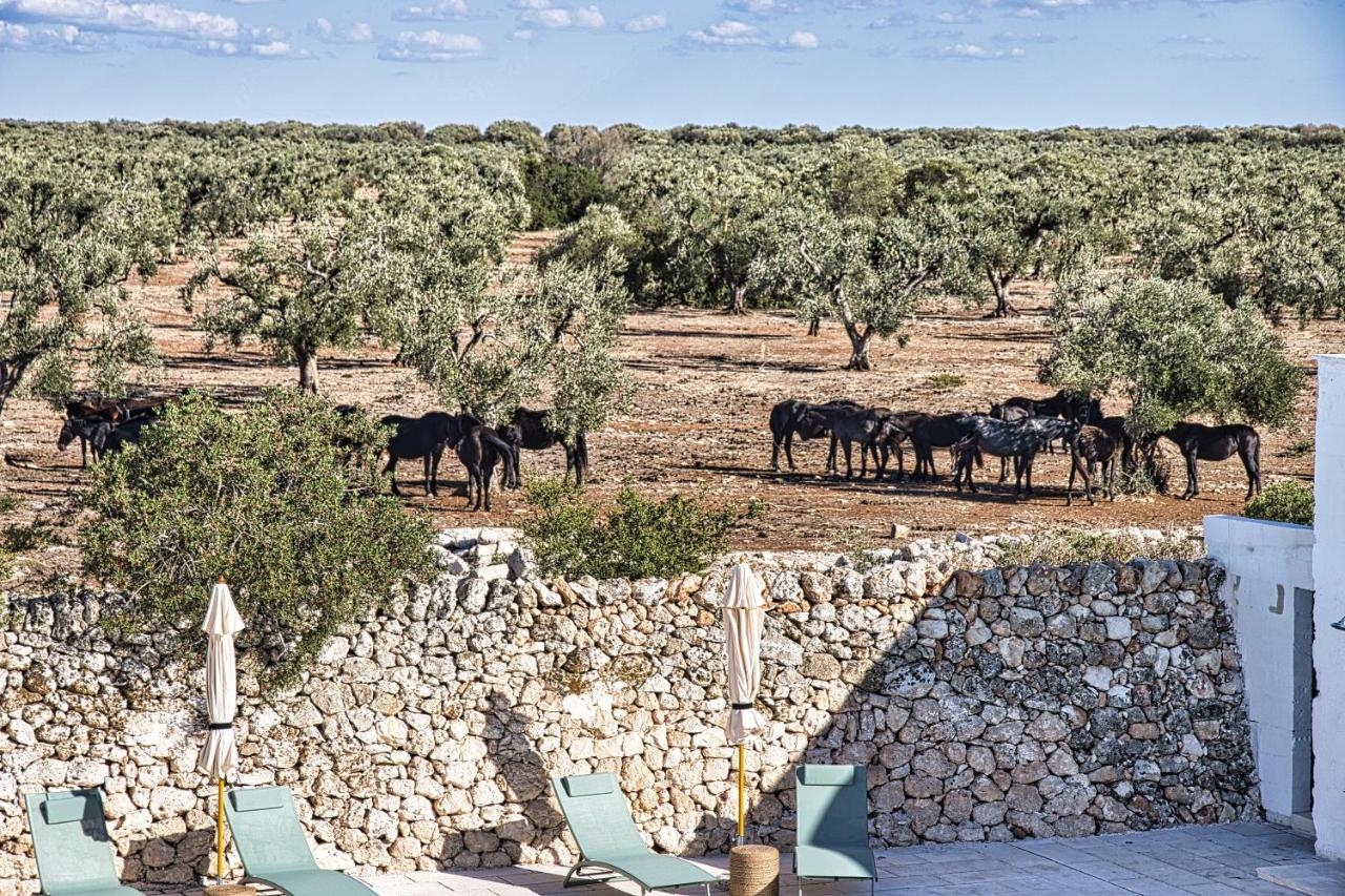Masseria Rescio 阿韦特拉纳 外观 照片